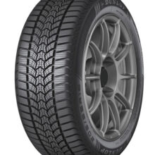 205/55R16 WINTER TRAIL 91H Dunlop - Slika 1