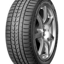 225/60R16 WinGuard Spt 102V XL  Nexen - Slika 1