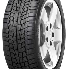 215/65R17 WINTECH 99V FR - Slika 1